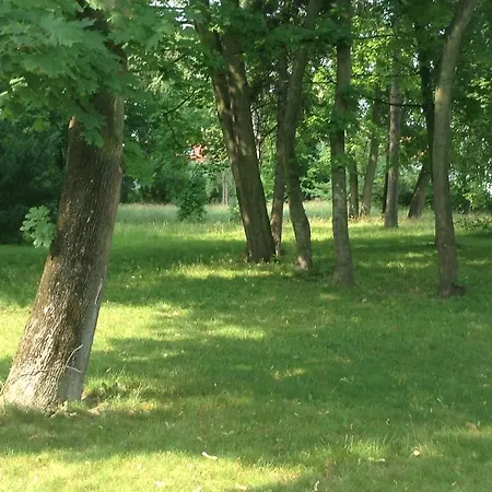 Lodge Lipce *